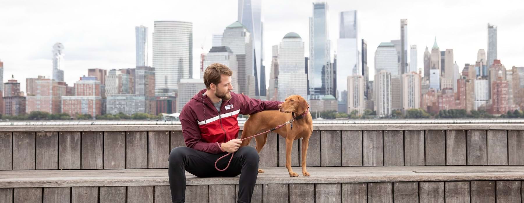 a person and a dog on a bridge with a city skyline in the background